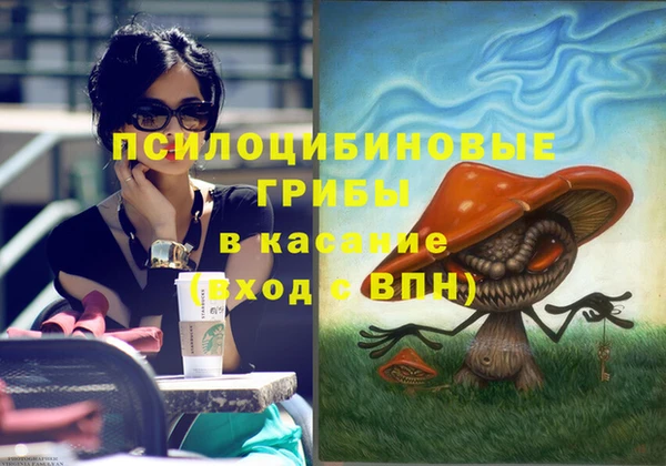 синтетический гашиш Алексин