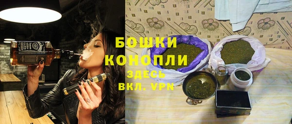 ГАЛЛЮЦИНОГЕННЫЕ ГРИБЫ Коряжма