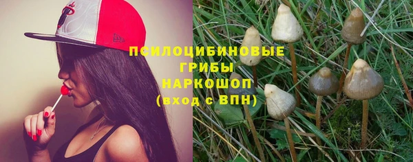 синтетический гашиш Алексин