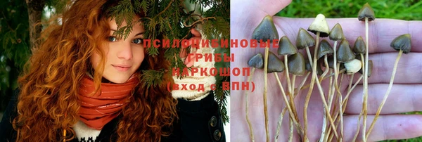 а пвп мука Костерёво