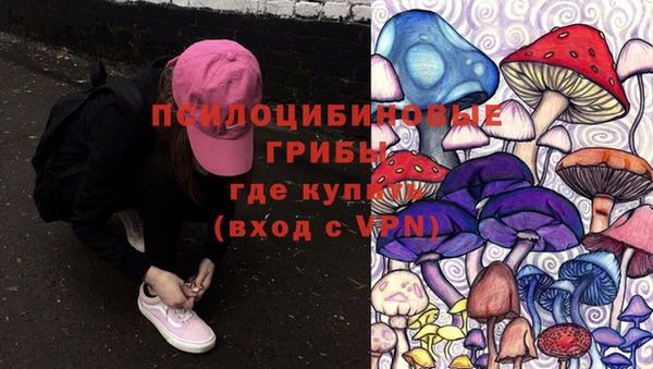синтетический гашиш Алексин