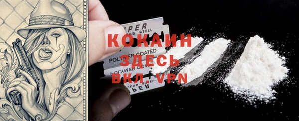 дурь Алексеевка