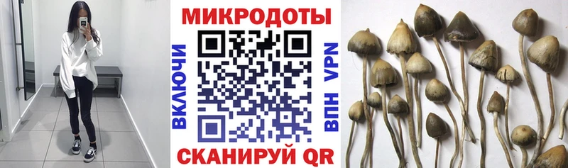 Галлюциногенные грибы прущие грибы  Купить где  Бахчисарай 